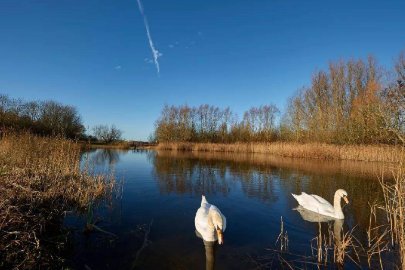 藍莎集團 - 英國樓盤、英國物業代理 | 英國買樓置業一站式服務